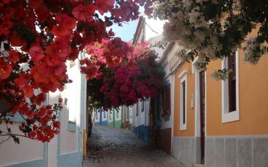 street in ferragudo